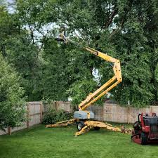  North Lima, OH Tree Care Services Pros